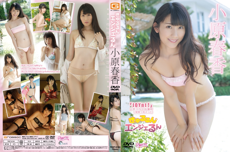 �������G���W�F���