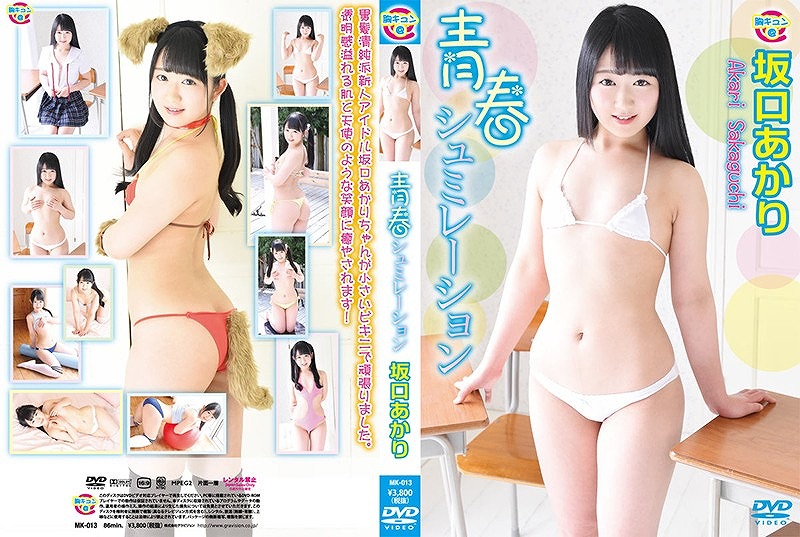 ���������^�t�V���~���[�V���� ���������