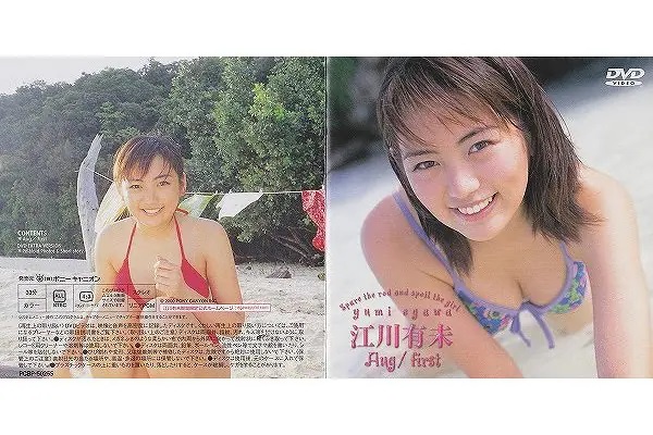 �t�@�C�u�X�^�[/�]��L��